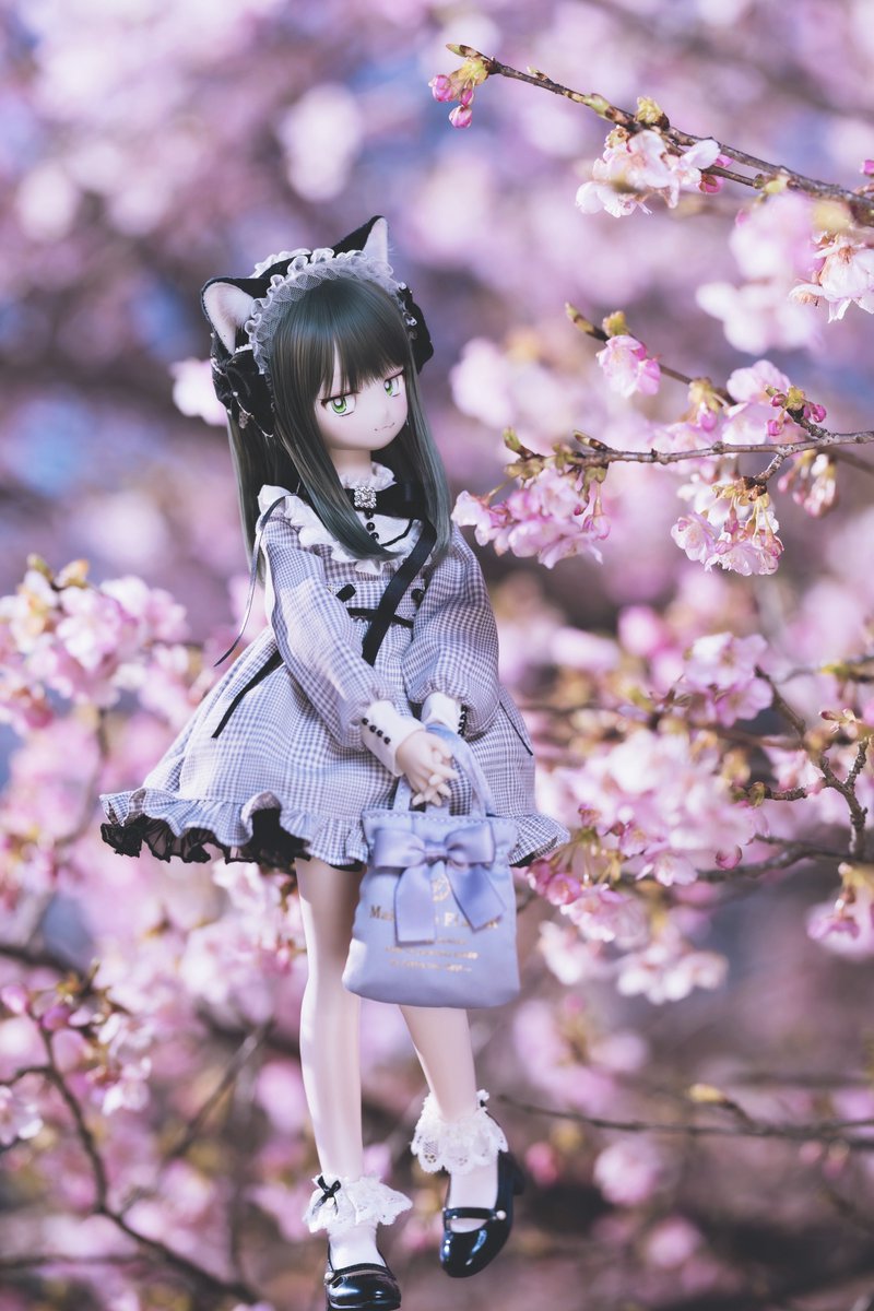 緑 (@yururimidori) / Posts / X