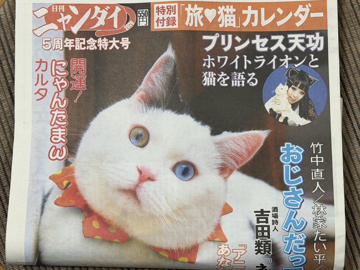 日刊ニャンダイ買って来た🐱 今回は5周年記念特大号🙀 #日刊ニャンダイ