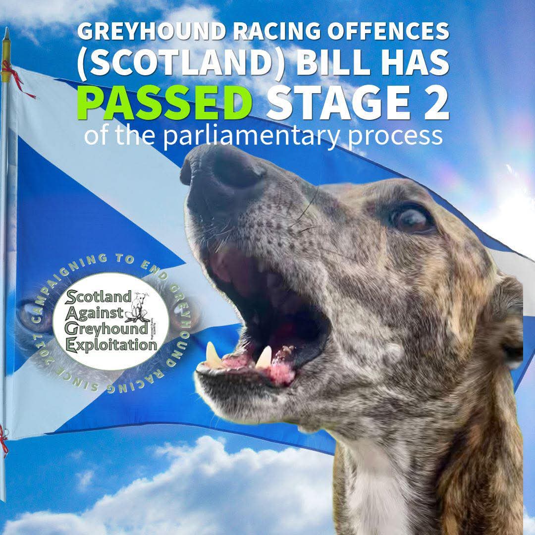 Scotland for Animals (@scotforanimals) on Twitter photo 