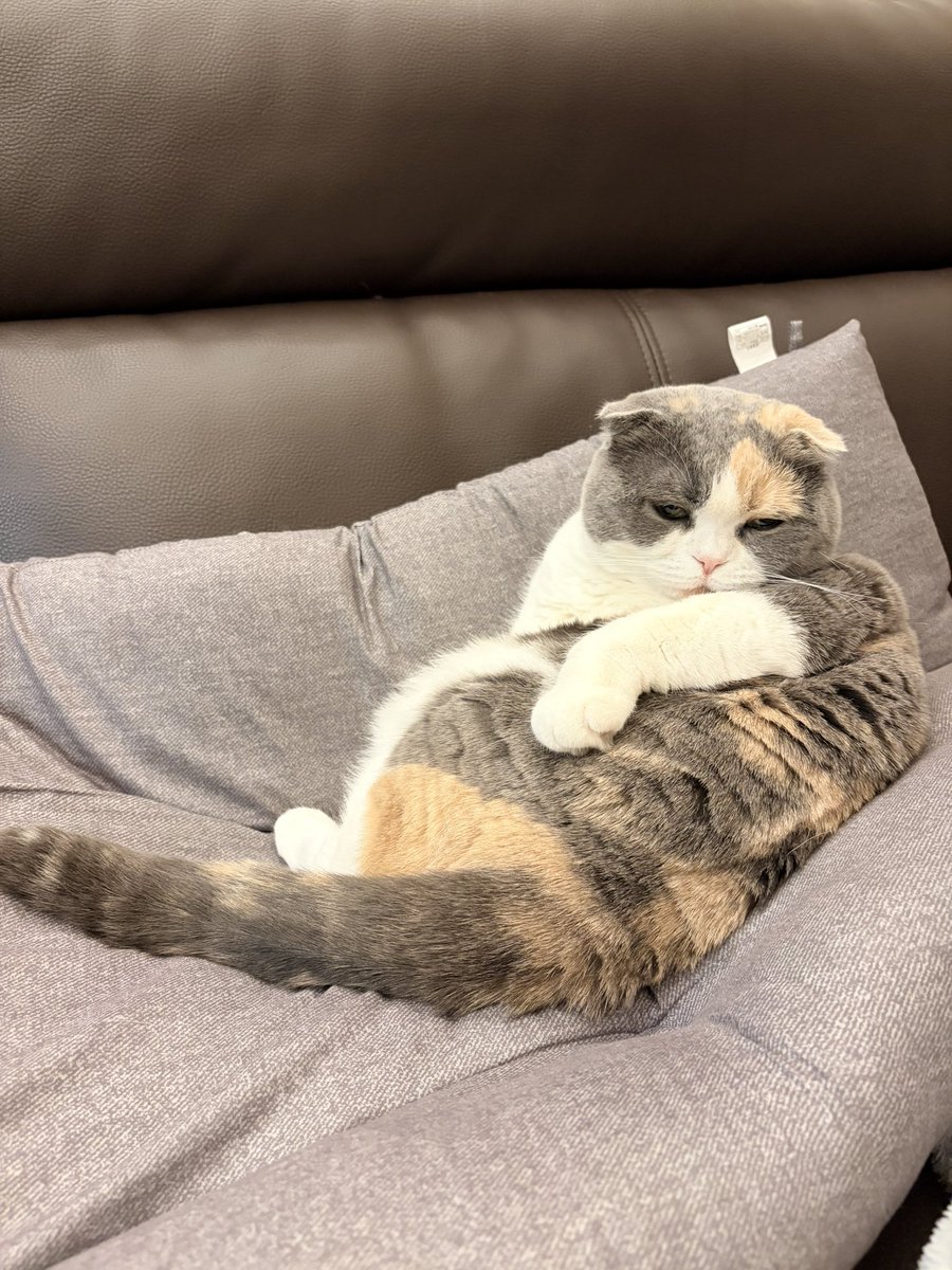 うなぎ(うなちゃん) (@una1535) / Posts / X