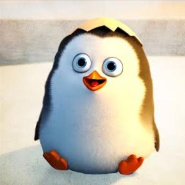 no difference  fr 🥰🐧✨
#KYUNGSOO #도경수 #엑소 #디오