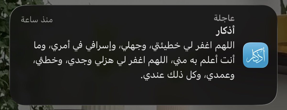 فبراير tweet media