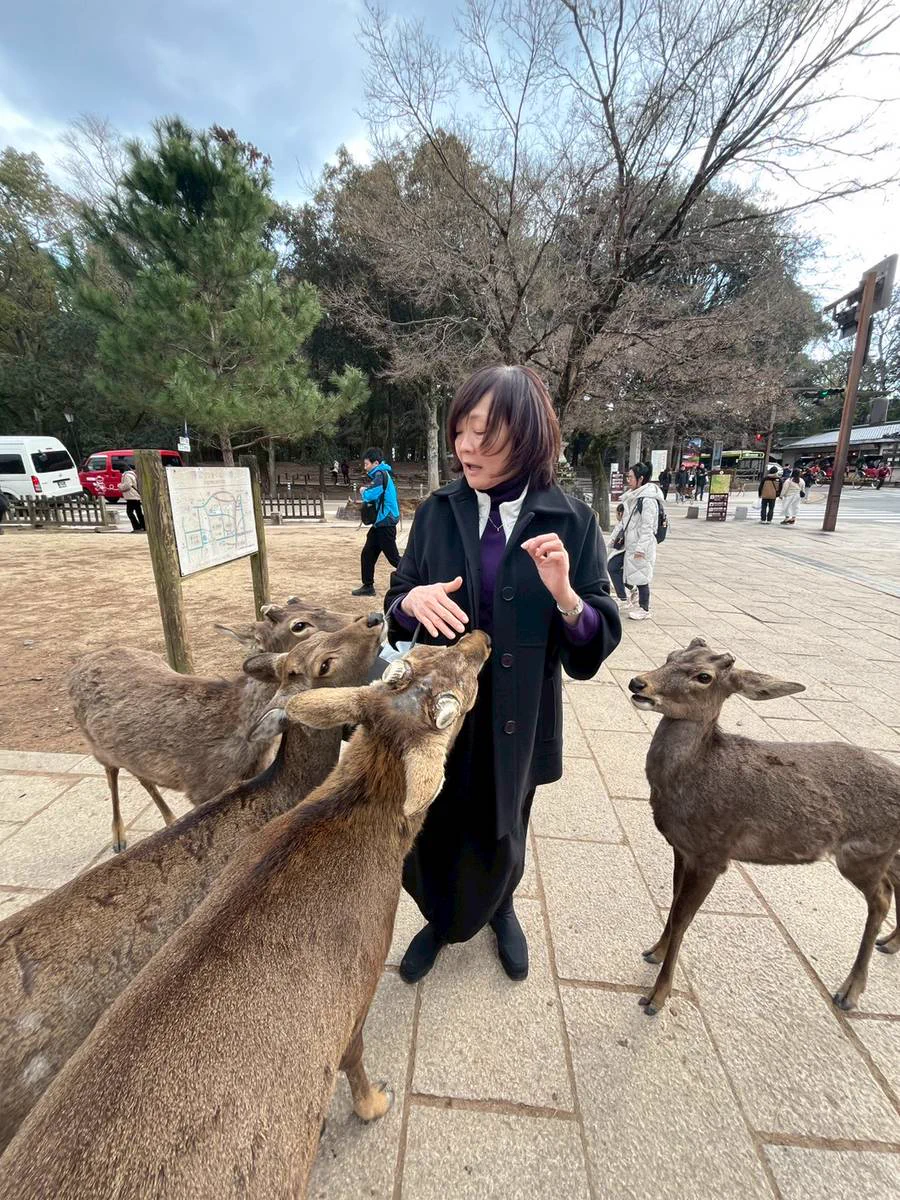 安倍昭恵 on X: 