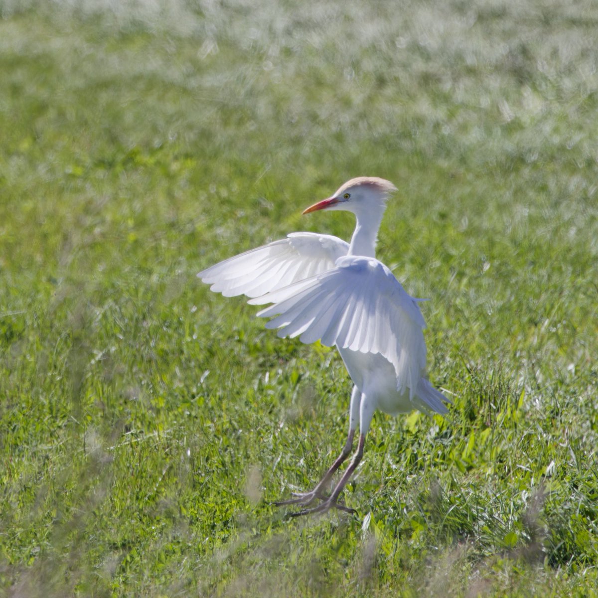 Manfred Pohler 📯🕊️🇺🇦 💉🇪🇺 tweet media