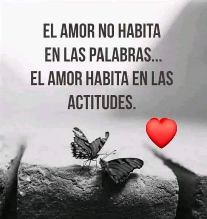 JorgeLuisRR1963's tweet photo. ESO ES CORRECTO. https://t.co/AX0sMf0GdA