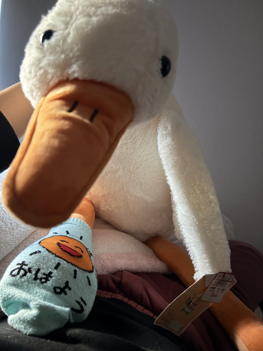 かんじ (@kanji_Toy) / Posts / X