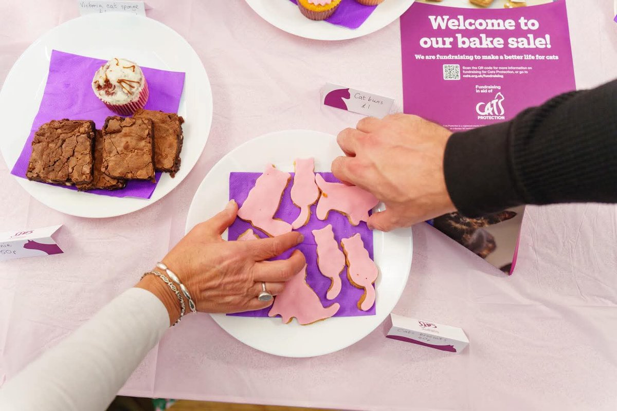 CatsFrome's tweet photo. Host a “Love Cats” coffee morning ☕, a bake sale 🍰, or a fun raffle 🎟️ with friends, family or colleagues — and help raise vital funds for cats in need.

👉 Start your fundraiser today:
https://t.co/vF04mwBRwN

💬 Tag us in your events — we’d love to see what you plan!
Frome https://t.co/HbWAuTXcC2