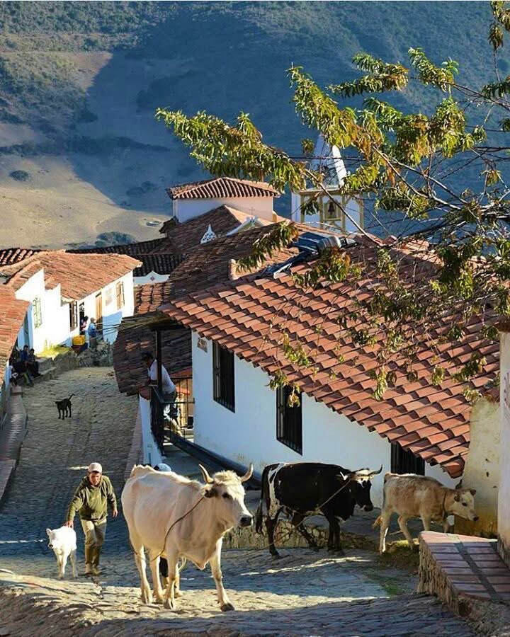 GianlucaCoccon1's tweet photo. Hermosa postal 
LOS NEVADOS 
Sierra Nevada de Mérida 
Edo Mérida VENEZUELA 
🇻🇪🇻🇪🇻🇪🇻🇪🇻🇪🇻🇪🇻🇪🇻🇪🇻🇪🇻🇪
@venezuelaenfoto https://t.co/FRkORHoDDi