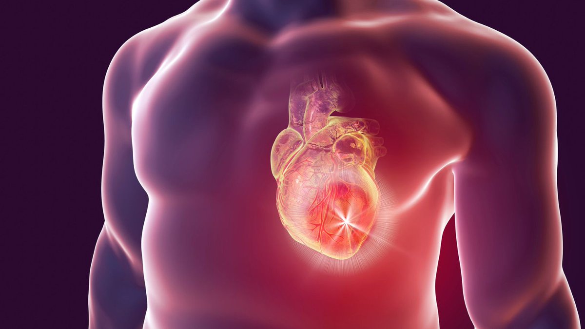 La #artrosis se asociaría con un incremento del riesgo de enfermedad cardiovascular, diabetes, hipertensión arterial y, en último caso, el fallecimiento vía @consalud_es consalud.es/pacientes/artr…