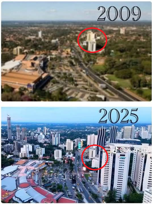 Santiago Zavattiero tweet media