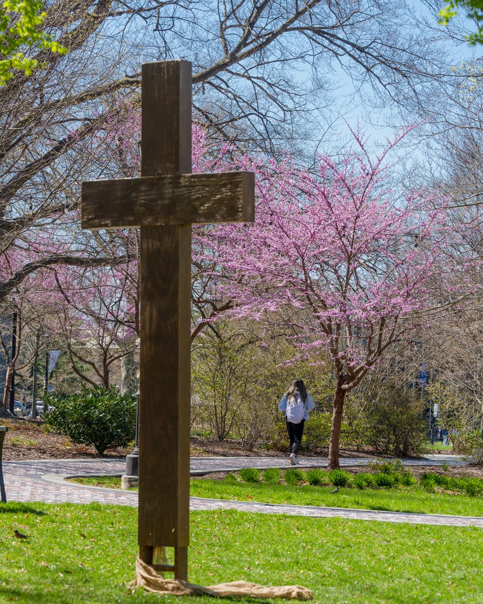 Lent begins today—a season of prayer and preparation to celebrate the joy of Easter. Ash Wednesday offerings include an 8:30 a.m. student-led Word Service, Masses at 12:05 p.m., 5:30 and 7 p.m., and an Ecumenical Service at 3 p.m. in St. Thomas of Villanova Church.