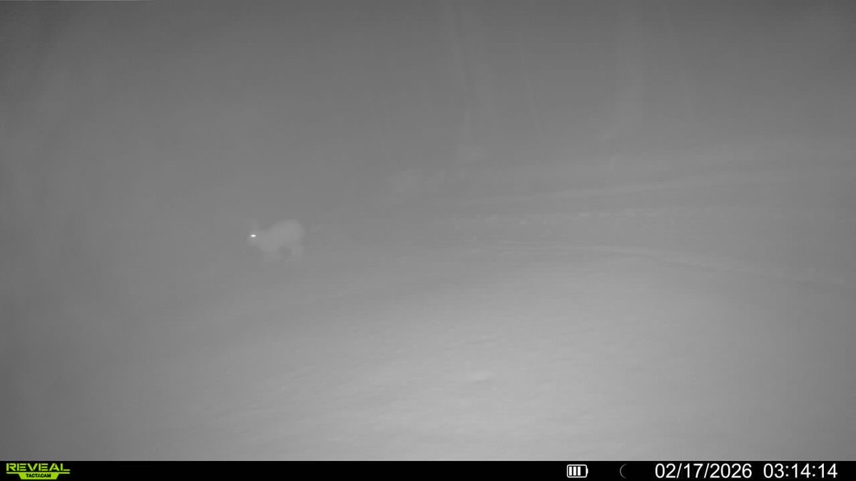 Larry Miller Retired tweet media