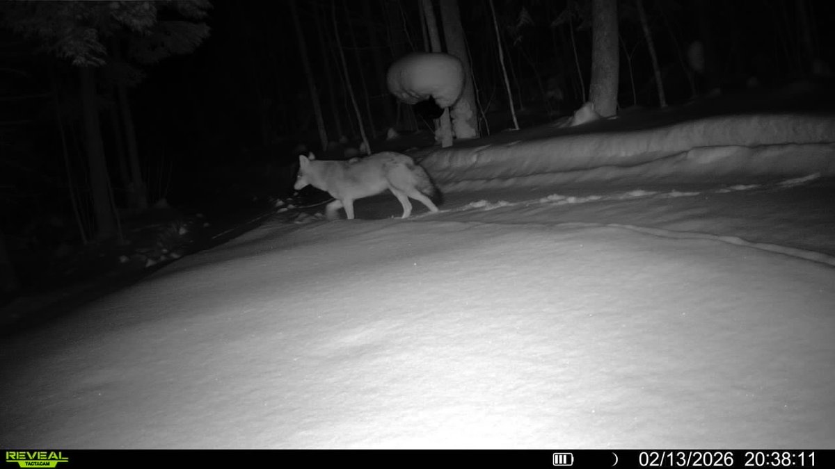 Larry Miller Retired tweet media