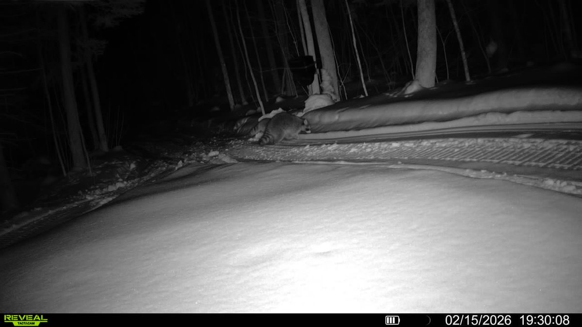 Larry Miller Retired tweet media