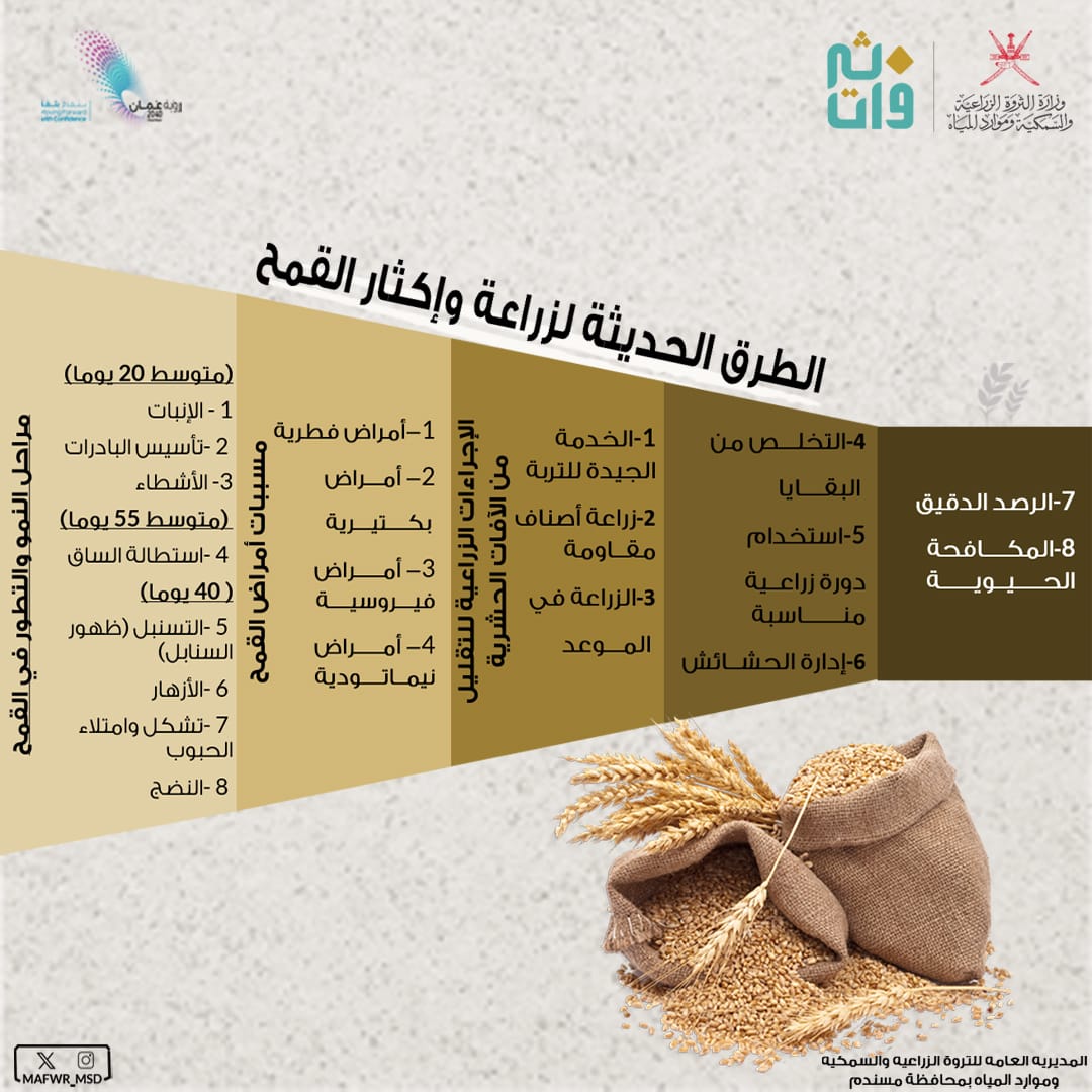 الطرق الحديثة لزراعة وإكثار القمح