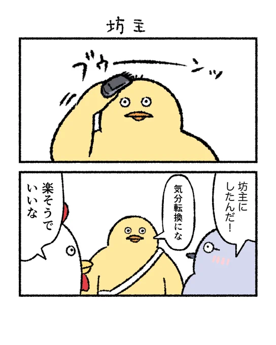 坊主

#小生意気な鳥のおーへい 