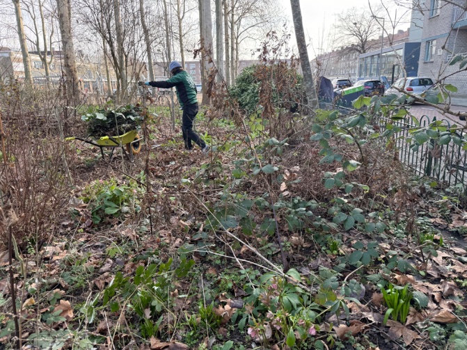 rinibiemans's tweet photo. Vandaag #park1943 het bosperk gefatsoeneerd en bijgepraat met buurtbewoner en fotograaf Frank over de Proefpark documentaire die we gaan maken 😀 Het ideale park voor de toekomst… waar oud en jong samenspelen😇🍀🧚 #ecosociaal #stadsgeneeskunde #integraal #participatief https://t.co/ktBzDjuJSQ