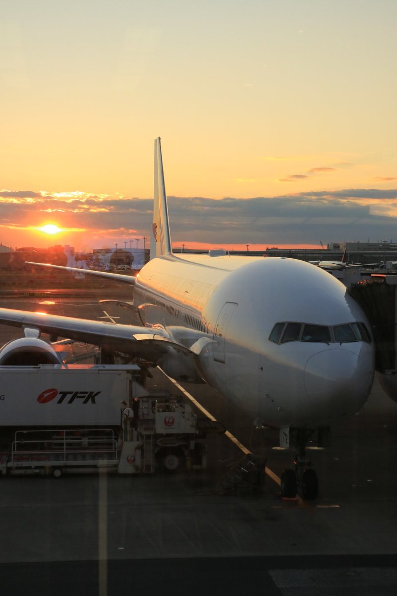 先日、JAL Mallさんで購入した、CFRPマルチトレー✈️ こちらの商品