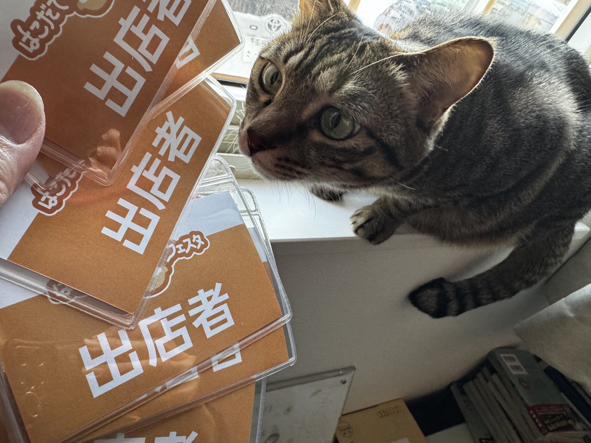 MAHOU_KIZUNA's tweet photo. 🐈なんにゃこれ🐈
これはね。
はこだてFOODフェスタの出店者証だよ🥰
これをもらうととってもワクワクするんだ。
『魔法のからあげ屋さん』として
函館アリーナに立てるのがとても嬉しい！
土日頑張らなければいけないからあまりなでなでの時間ないけど許してね🙏
（嫌だ愛でろ🐈🐾）
😑 https://t.co/DHYq9bhIUN