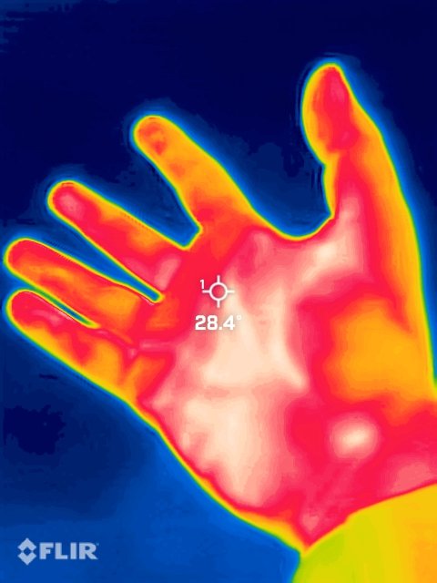 Efthymios Kalafatis tweet media