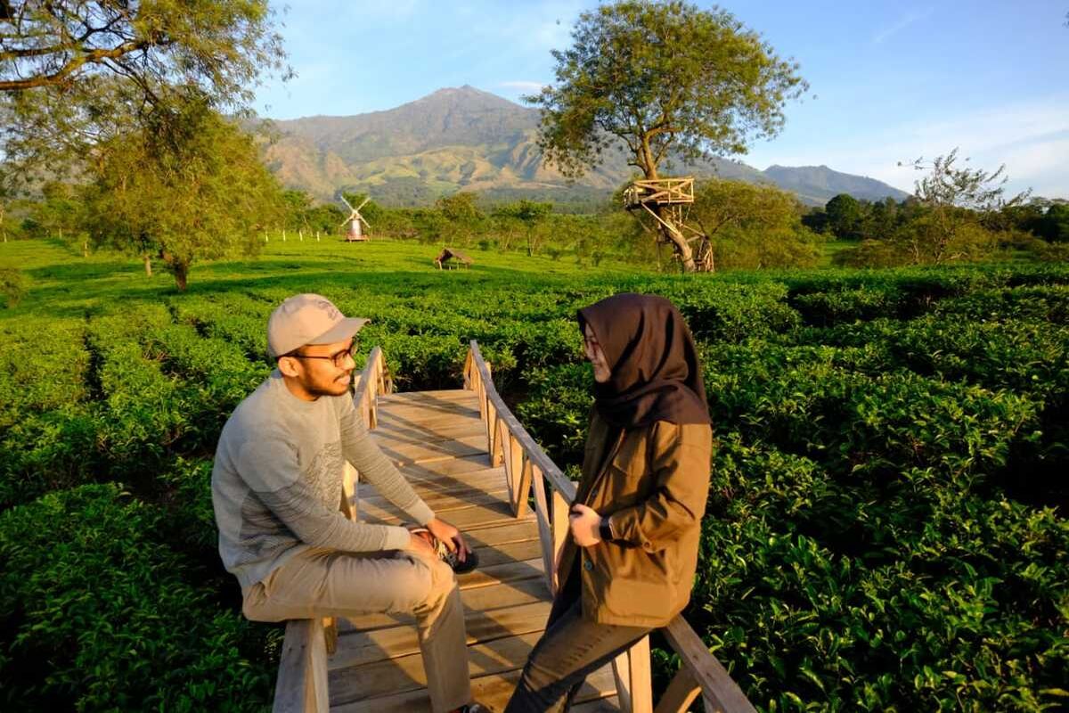 AvivaX's tweet photo. The serene atmosphere and rolling greenery of tea fields offer a perfect escape for quiet conversation and mental clarity. It’s hard not to feel at peace when surrounded by such a stunning, natural landscape.
@DataHaven_xyz https://t.co/h5djbAAO3G