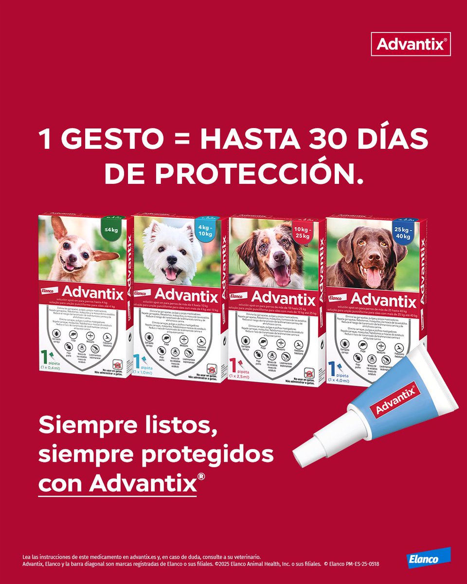 Una pipeta. Un solo gesto.
Hasta 30 días de protección frente a pulgas, garrapatas, mosquitos y flebotomos. 🐶🛡️

Dónde comprar 👉 loom.ly/napcXrY