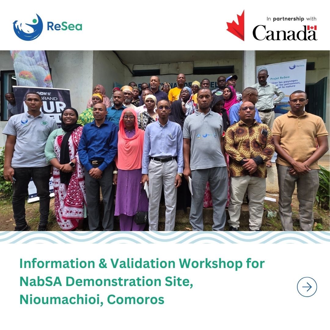 resea_project's tweet photo. In Comoros, identified a 115m coastal stretch for restoration, mapped data needs &amp; formed a local committee to guide monitoring, to advance the operationalization of the #NatureBasedSolutions demonstration site.
#ReSeaProject #NabSA #ClimateAdaptation #CommunitiesLead
@CanadaDev https://t.co/B2wSVtDzZ6