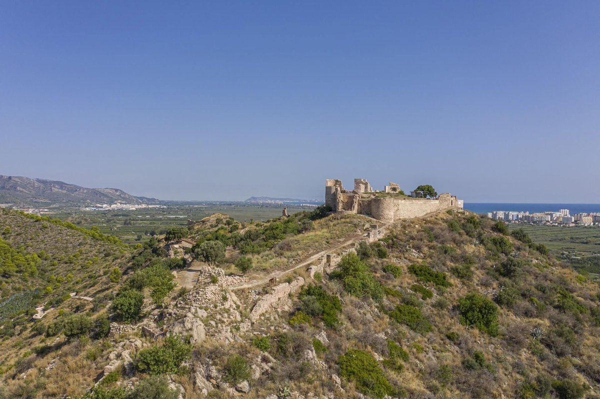 Llegendari Valencià tweet media