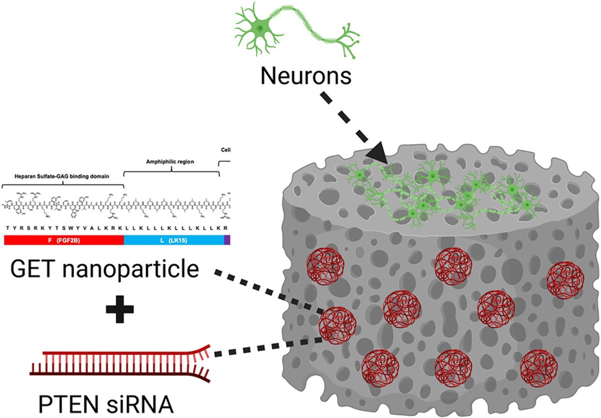 RCSI TERG tweet media