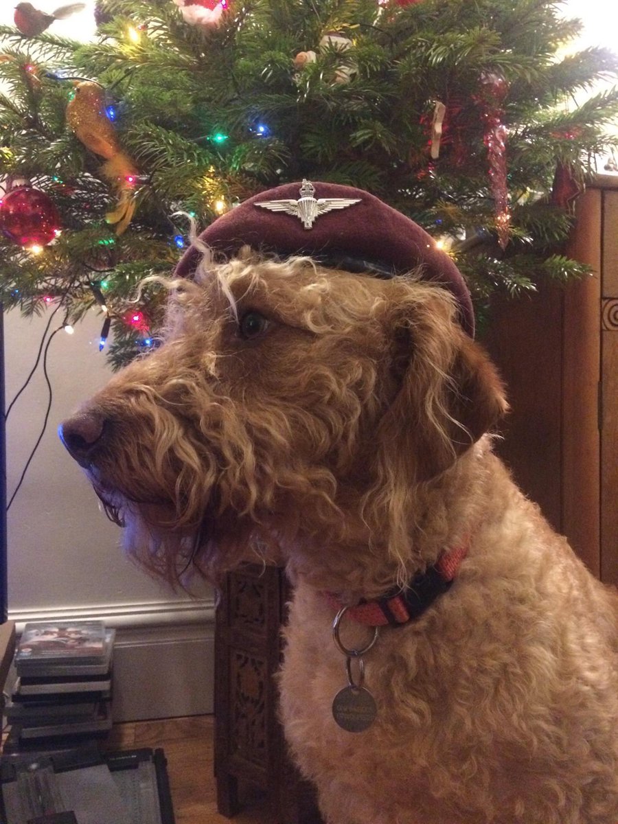 Andy Tyson tweet media