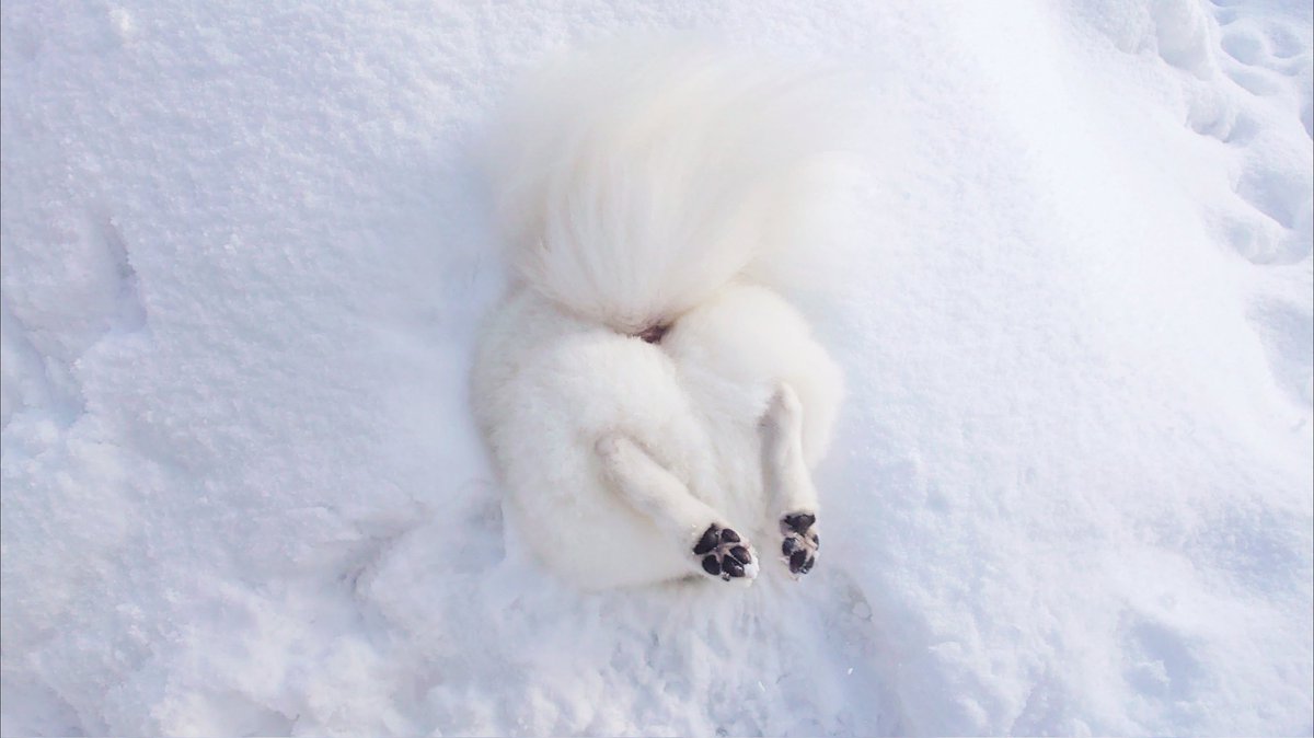 なんて罪深いおちりなんでしょう。