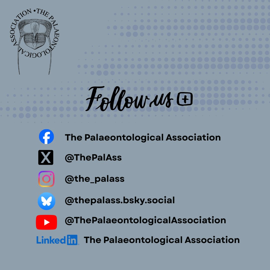 The PalAss tweet media