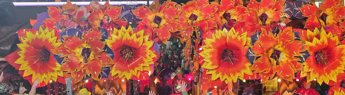 BoneKnightmare's tweet image. Random #MardiGras pictures
A #Thread 1