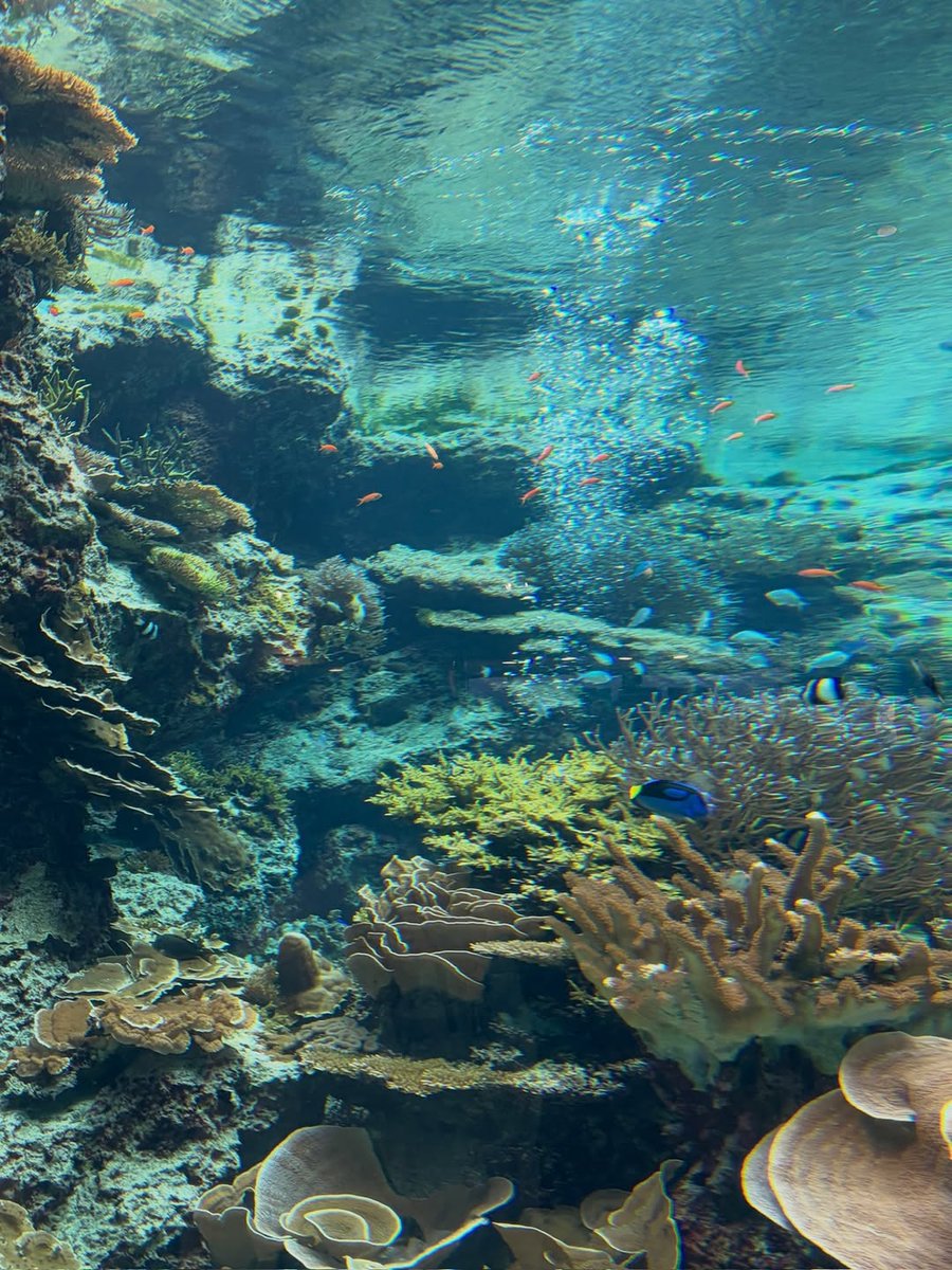 [260218 @.katarinabluu] #KARINA 
อัปเดตไอจีโพสต์ 📸×20 (1/5)
🎵 Yunna Serene • Soft girl era

คือว่าไม่อยากกลับบ้านเลยอะ