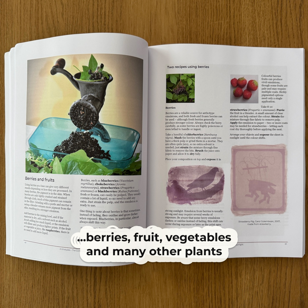 alternativephot's tweet image. Curious to see what’s inside our new Anthotype book? 🌿
It takes you step by step through the process – and a lot more!
Ready to learn? See:
👉 alternativephotography.com/anthotypes-com…

#anthotype #anthotypes #altprocess