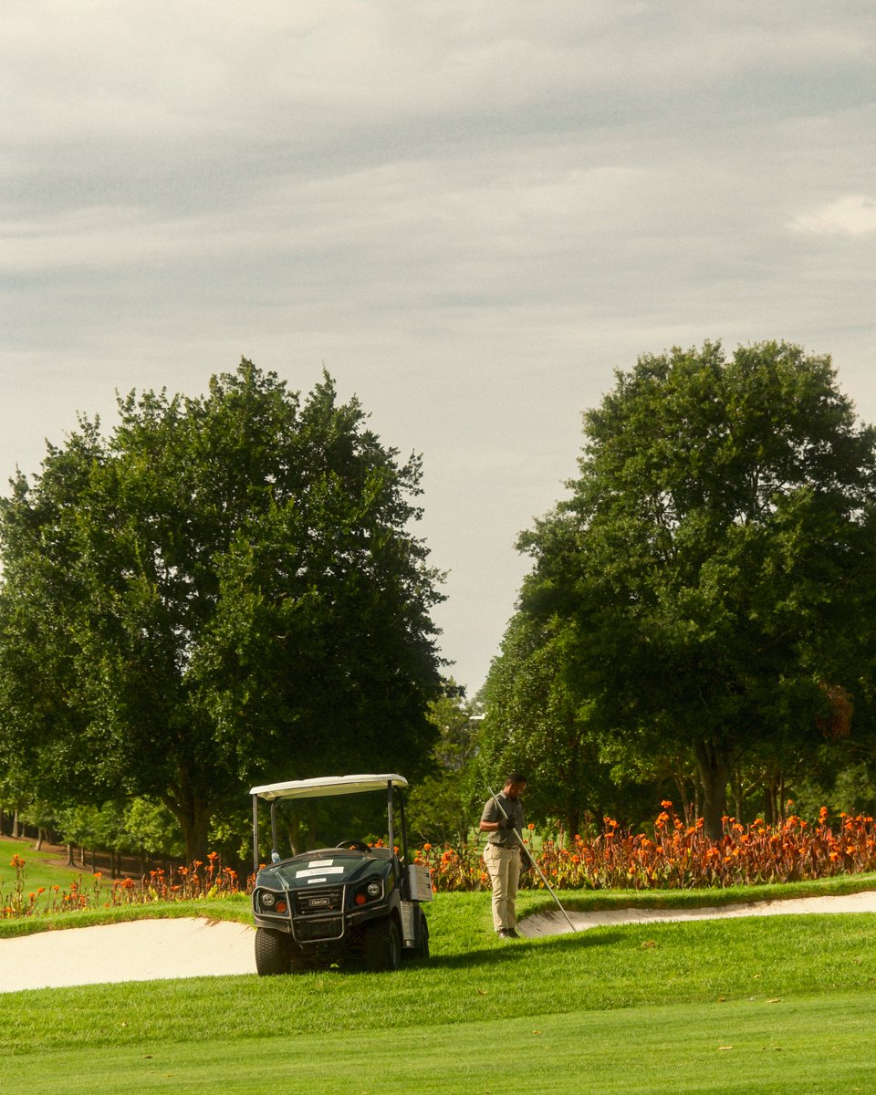 Fancourt tweet media