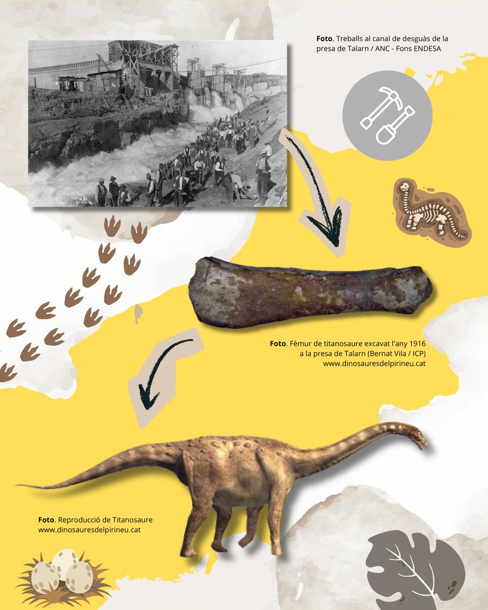 Central de Talarn tweet media