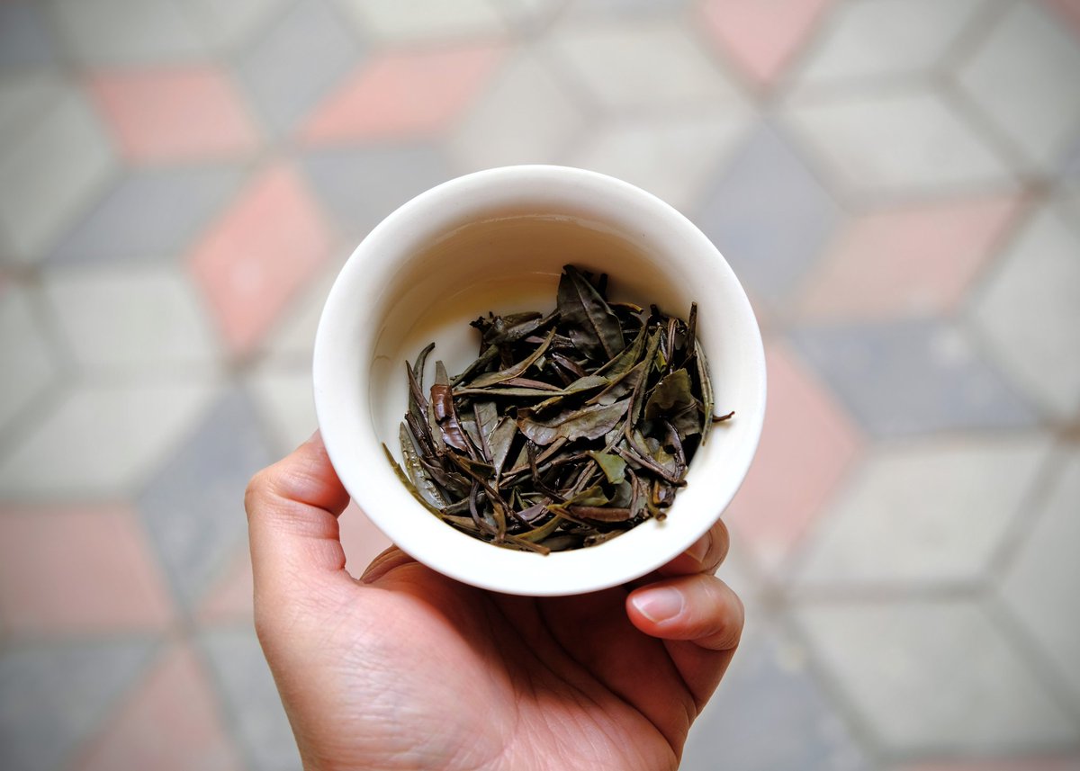 2024 Manipur Wild White Tea

Brewing it in our own handmade porcelain gaiwan which we mostly use for low oxidation teas, this one's been tasting great in all our brews. Old tree energy plus ripe fruity background makes for a delicious brew.