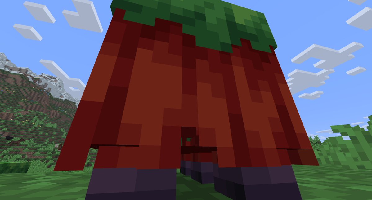 Nova Wostra tweet media