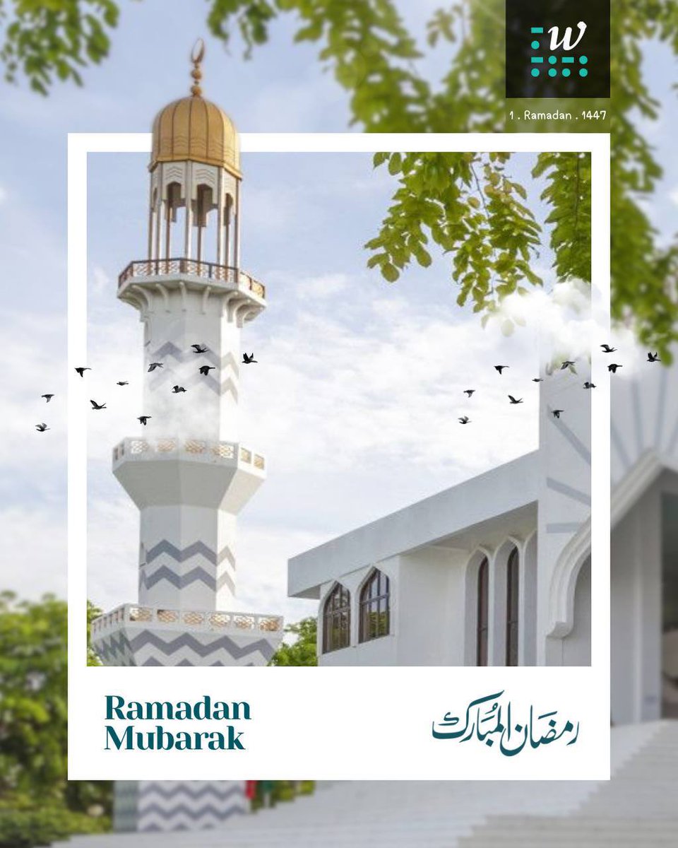 Women in Tech Maldives tweet media