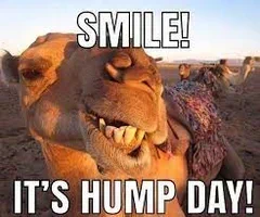 Steve Whittle (@stevewhittlefl) on Twitter photo 