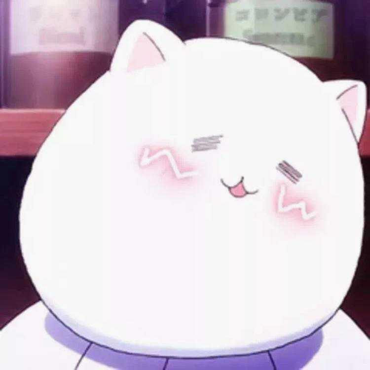 Miju咪啾 tweet media