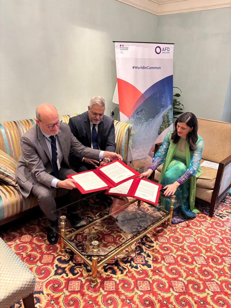 Éléonore Caroit tweet media