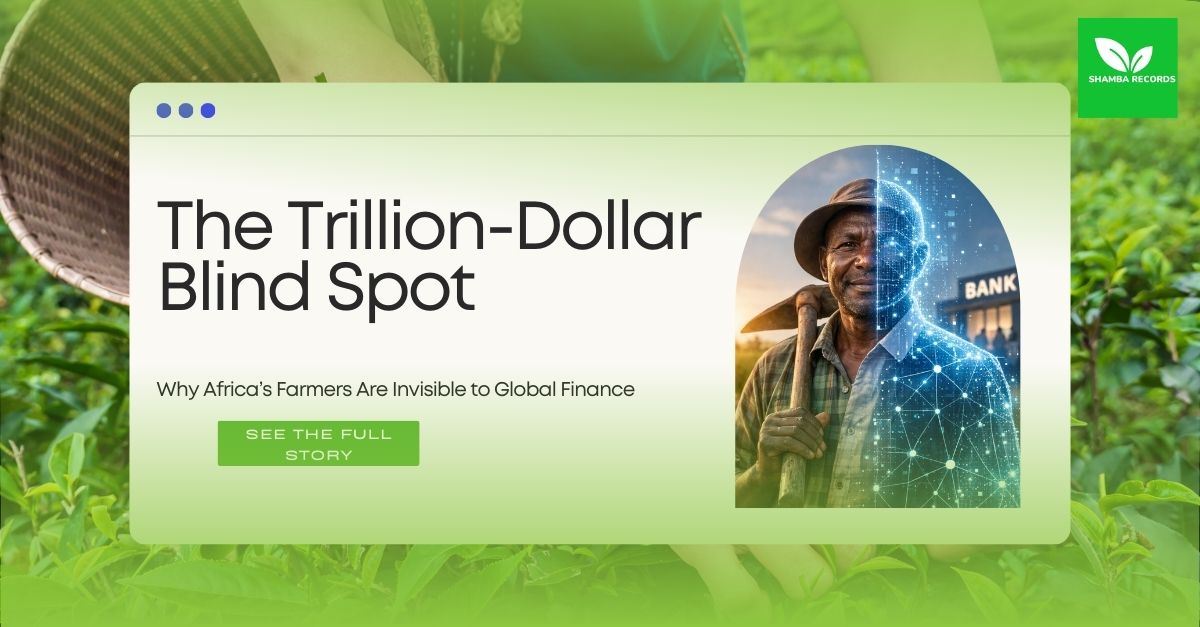 Shamba Records tweet media