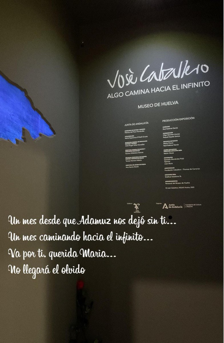 Museo de Huelva tweet media