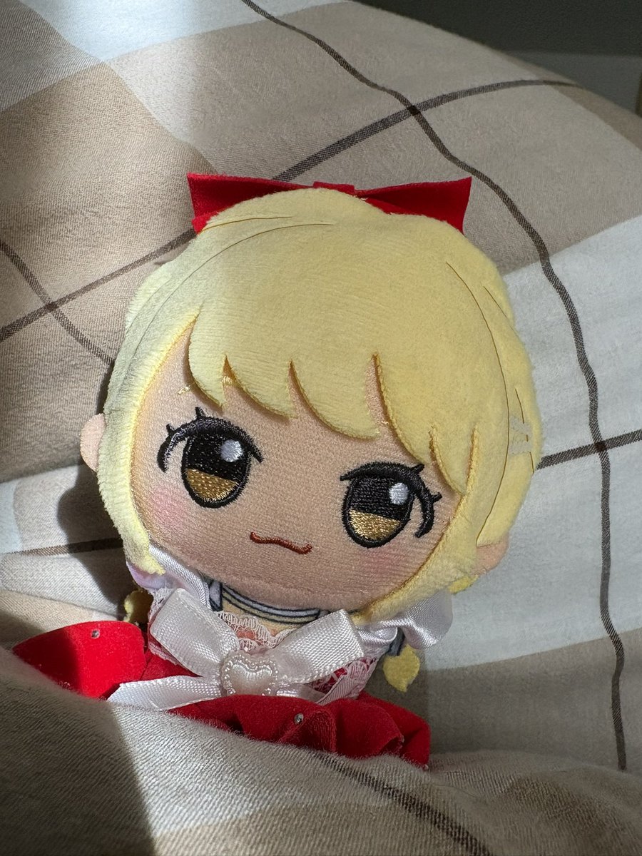 milkql1c's tweet photo. おひさま気持ちいいね☀️
こちょねと心やすらぐひととき🐌💭 https://t.co/WC8nZCnLHI