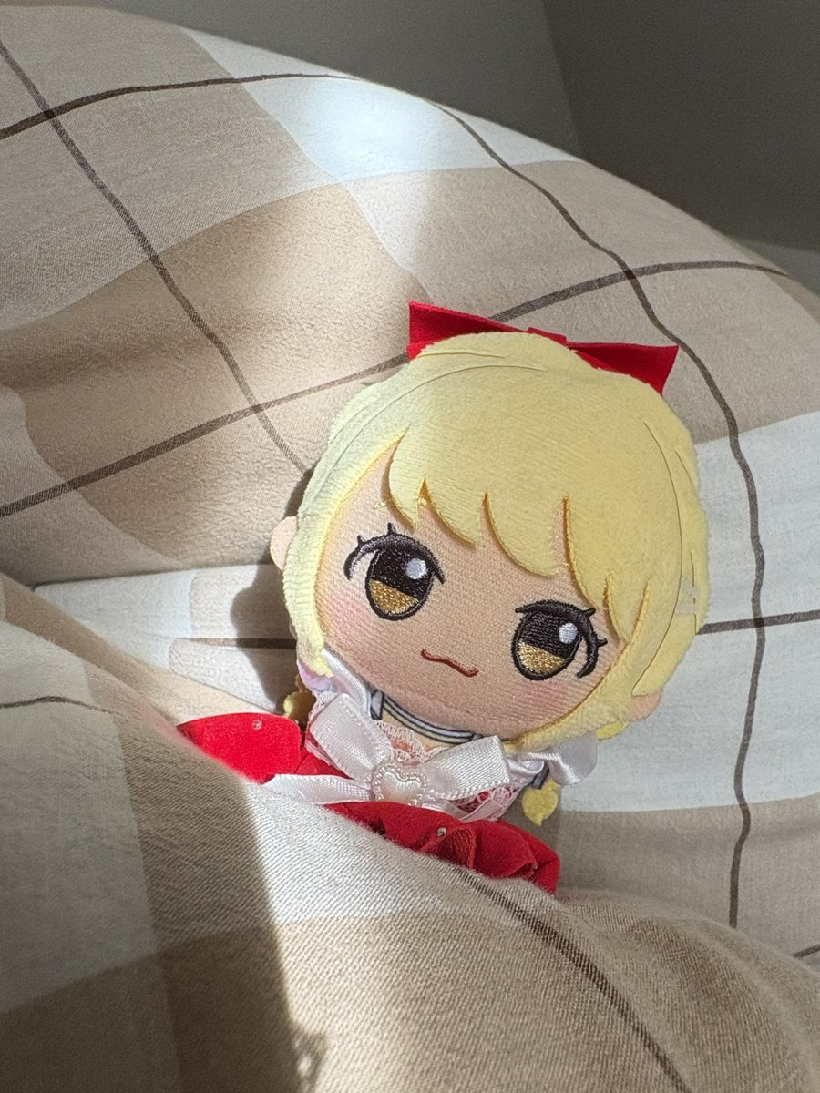 milkql1c's tweet photo. おひさま気持ちいいね☀️
こちょねと心やすらぐひととき🐌💭 https://t.co/WC8nZCnLHI