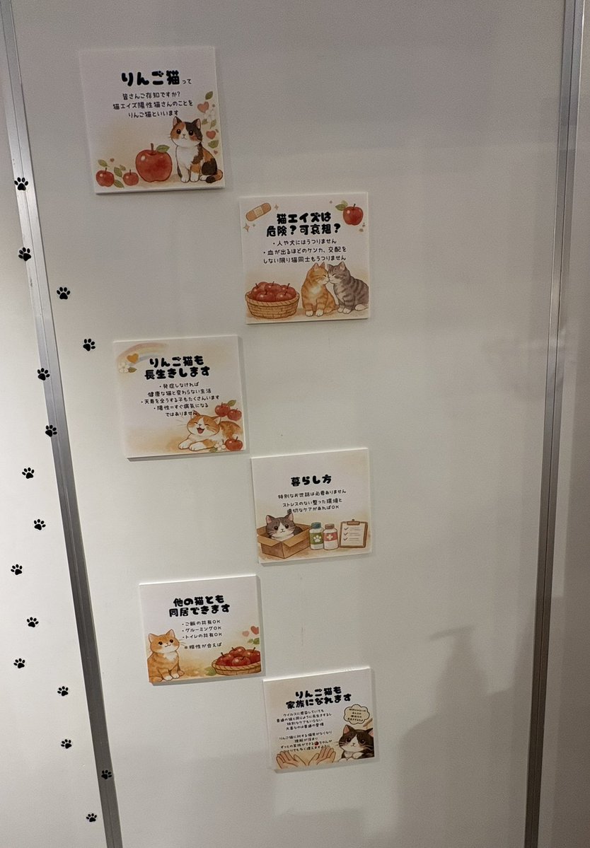 蔦屋書店のねこマルシェ2026に行って来ました🐱🐾 ピースにゃんこ函館