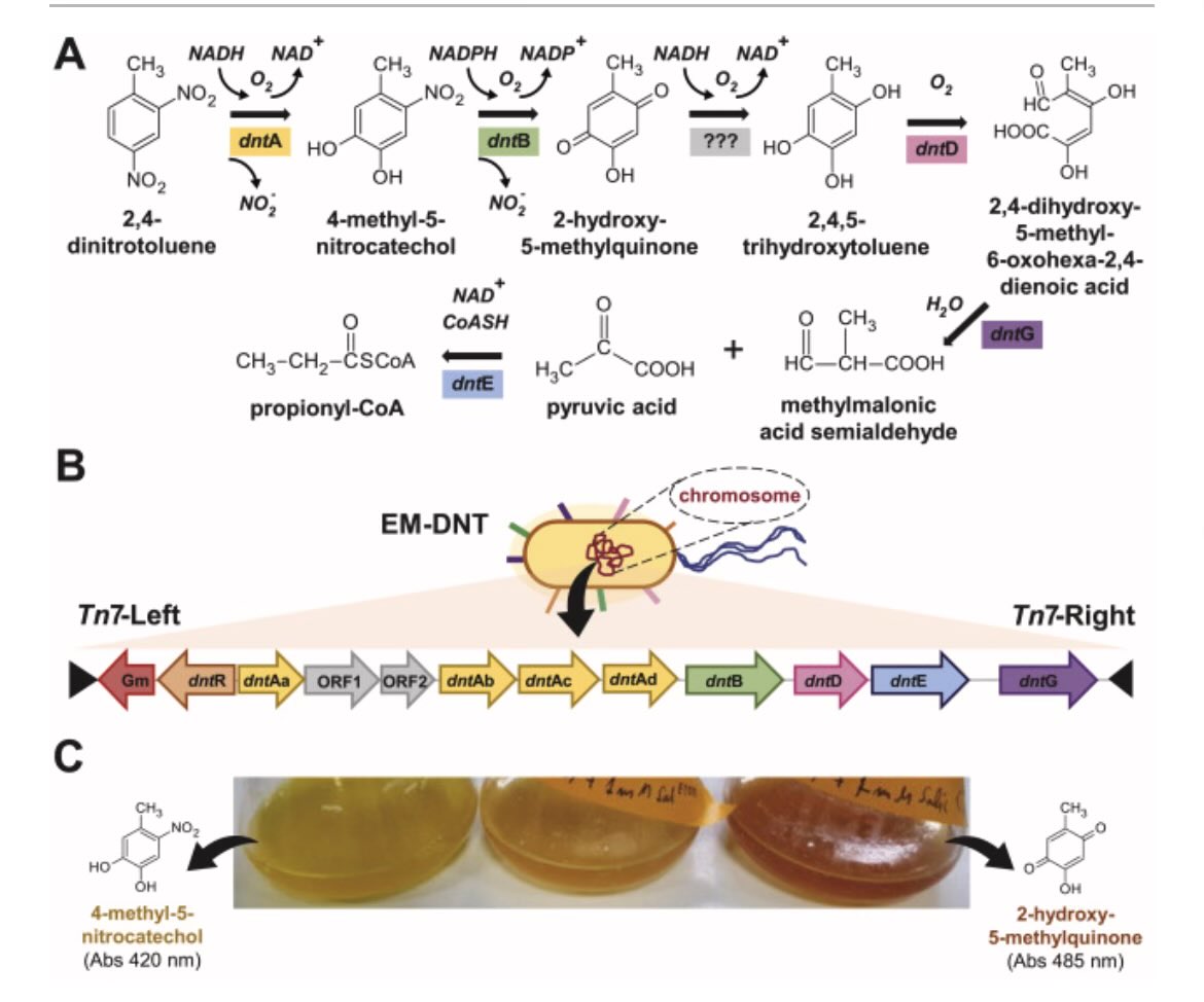 Víctor de Lorenzo tweet media