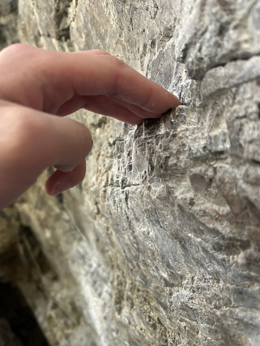 こんなカチ持てるようになったなんて、クライミング始めた頃の自分に言っても絶対信じないだろうな